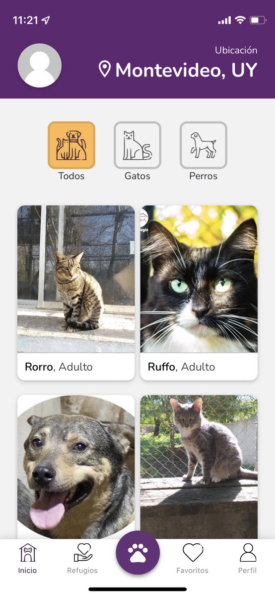 Brunocs24's tweet photo. Gente, hay una app nueva llamada “Katdog” que apunta a la adopción responsable de mascotas acá en Uruguay. Cada animal tiene una foto y una breve descripción de su historia, tremenda oportunidad para aquellos que quieran una mascota.
La dejo ahí pal que le interese… https://t.co/ulAH7bDvt4