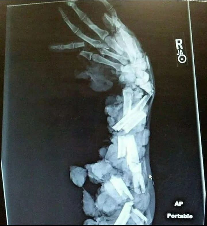 vinoypastis tweet media