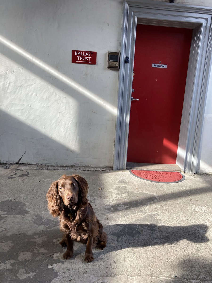 BallastTrust's tweet photo. We may have been influenced in our choice of Jays by the lovely spaniel in the letterhead reminding us of the archivist’s dog Monty #archivedogs https://t.co/e1mMh7saVn