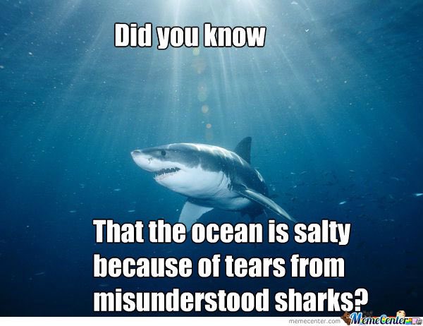 shark tears meme