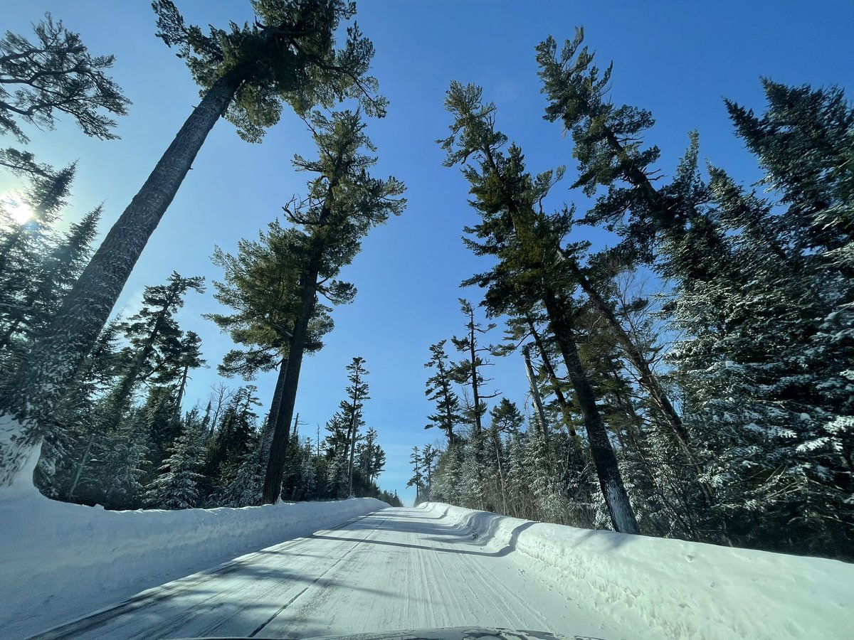 Sometimes the scenery on the beer trail is really a drag. #drinklocal #gunflinttrail #thepines