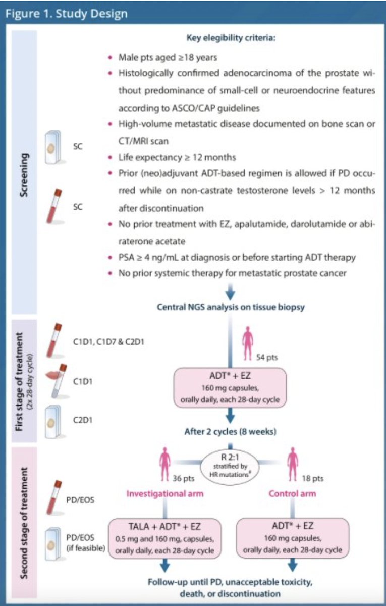 urotoday's tweet photo. A randomized phase 2 trial to evaluate the antitumor activity of enzalutamide and talazoparib for the treatment of metastatic hormone-naïve #ProstateCancer: #ZZFIRST. Presentation by @quimmateo @VHIO. #GU22 written coverage by @WallisCJD > https://t.co/xdloPfCTS7 @ASCO https://t.co/gYr5HWcQbR