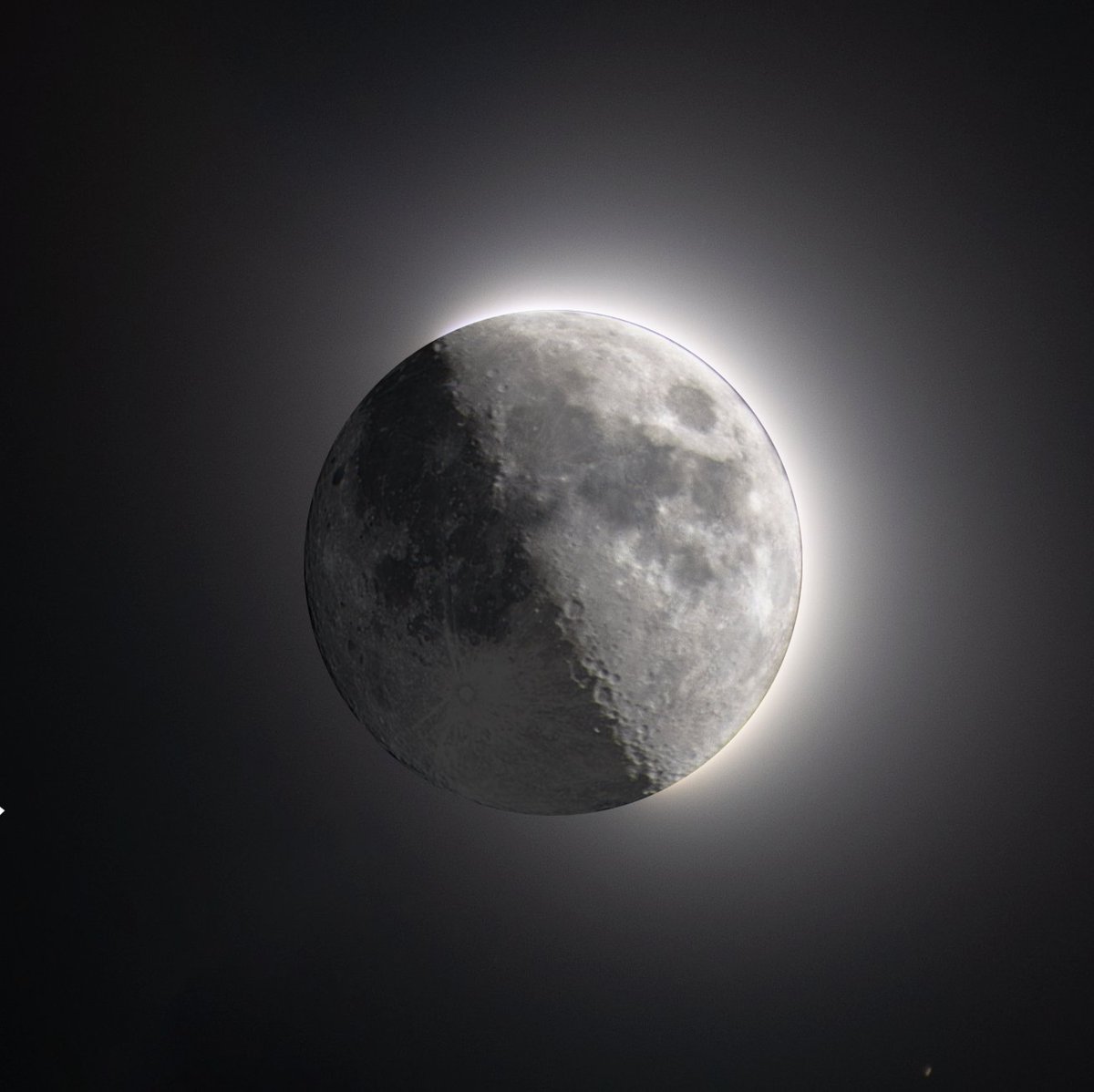 Ad Astra Avax🔺#LostWorlds #Avax tweet media