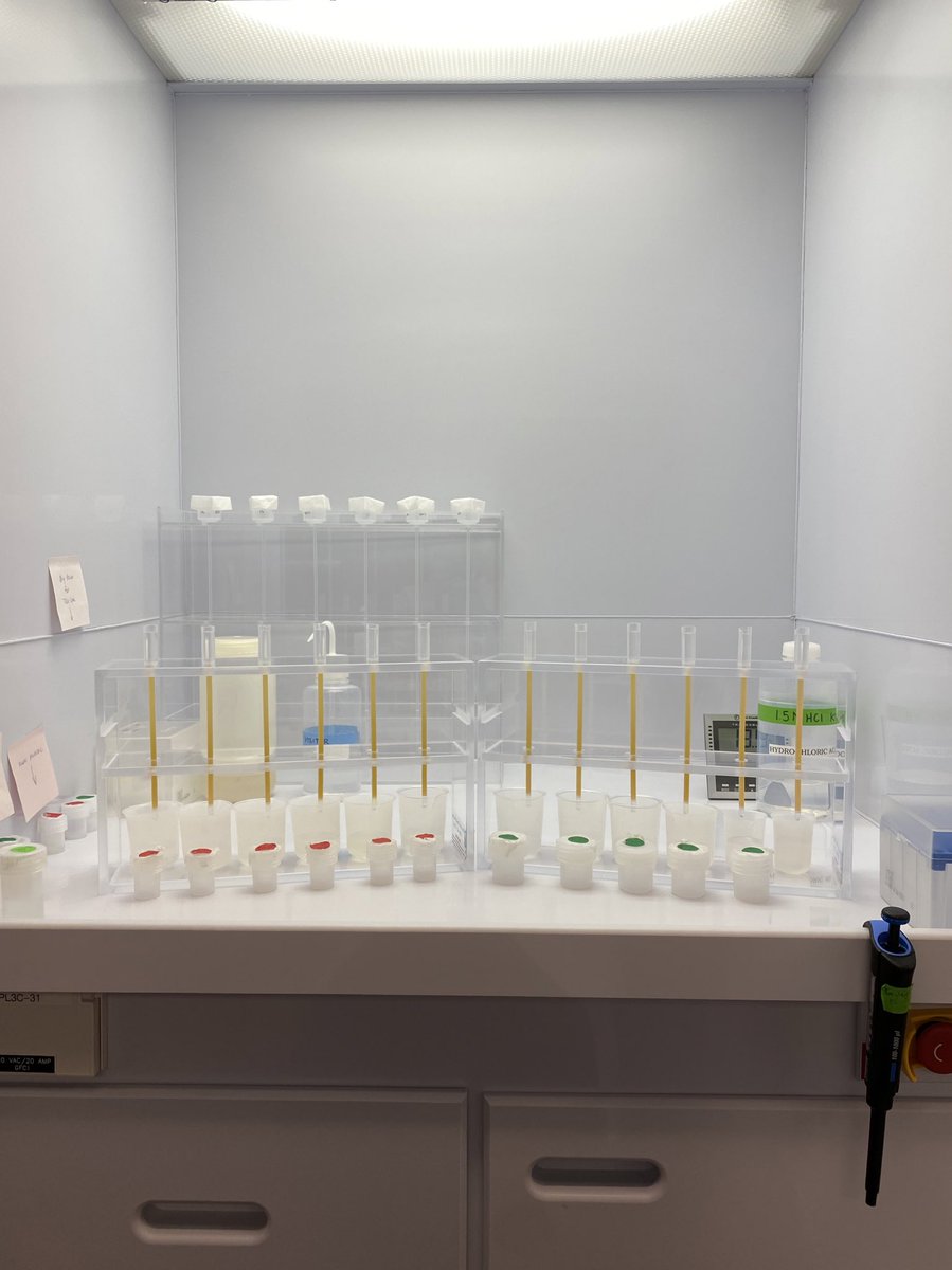 drkmharv's tweet photo. Today is my first full day back in the clean lab since fracturing my tibia/spraining my ACL a month ago. It’s been a slow and frustrating healing process, but I’m glad to be back at it! Can’t wait to help figure out how old these east coast garnets are 👩‍🔬⛰ https://t.co/zuqKFLjRL7
