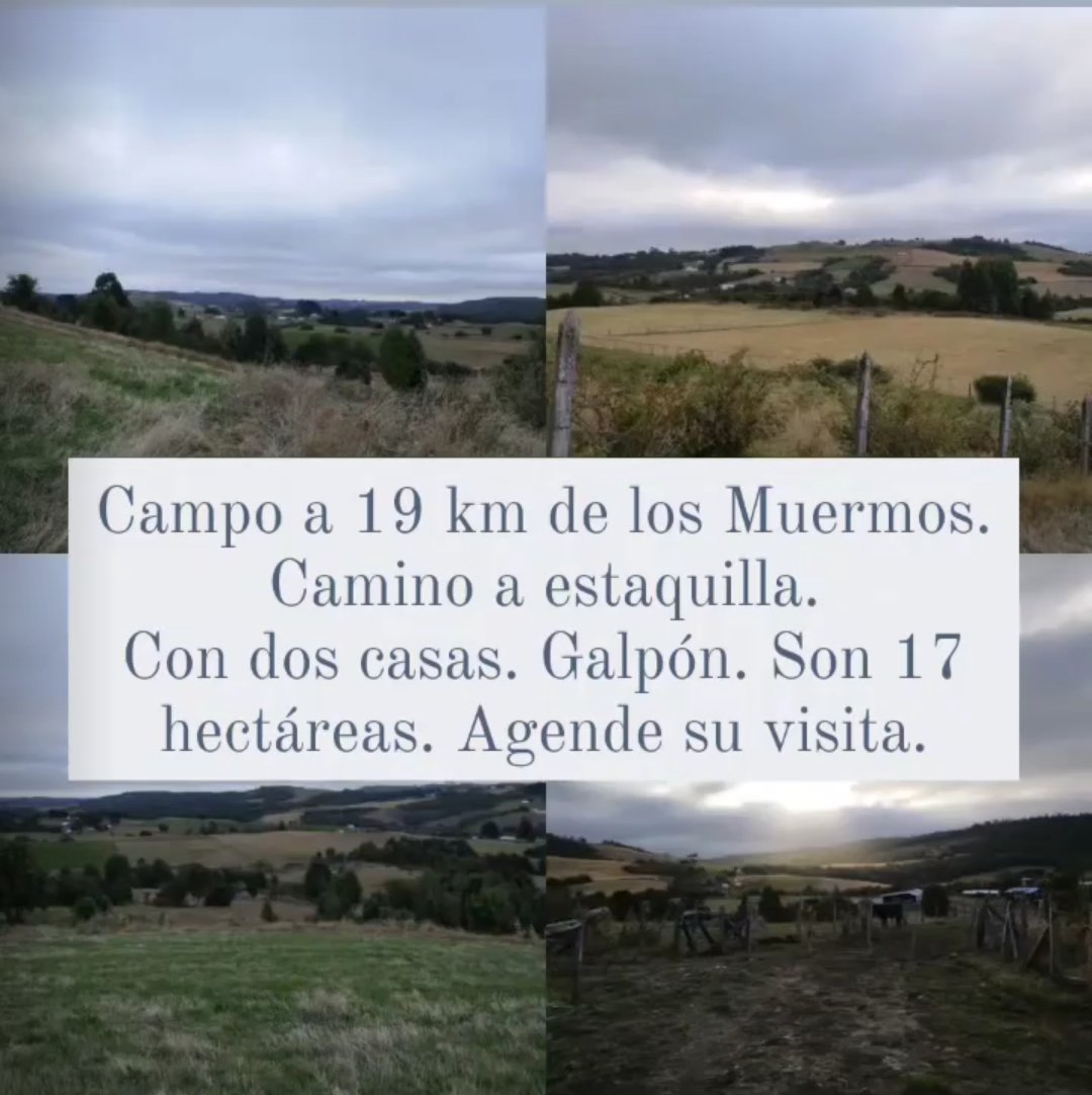 84_Aqua's tweet photo. Se vende!!!!!!
Se vende!!!!!!

#campo 
#surdechile 
#PuertoMontt
#losmuermos
#inversiones 
#oportunidad 
#inmobiliaria https://t.co/GEaZ0c8S5H