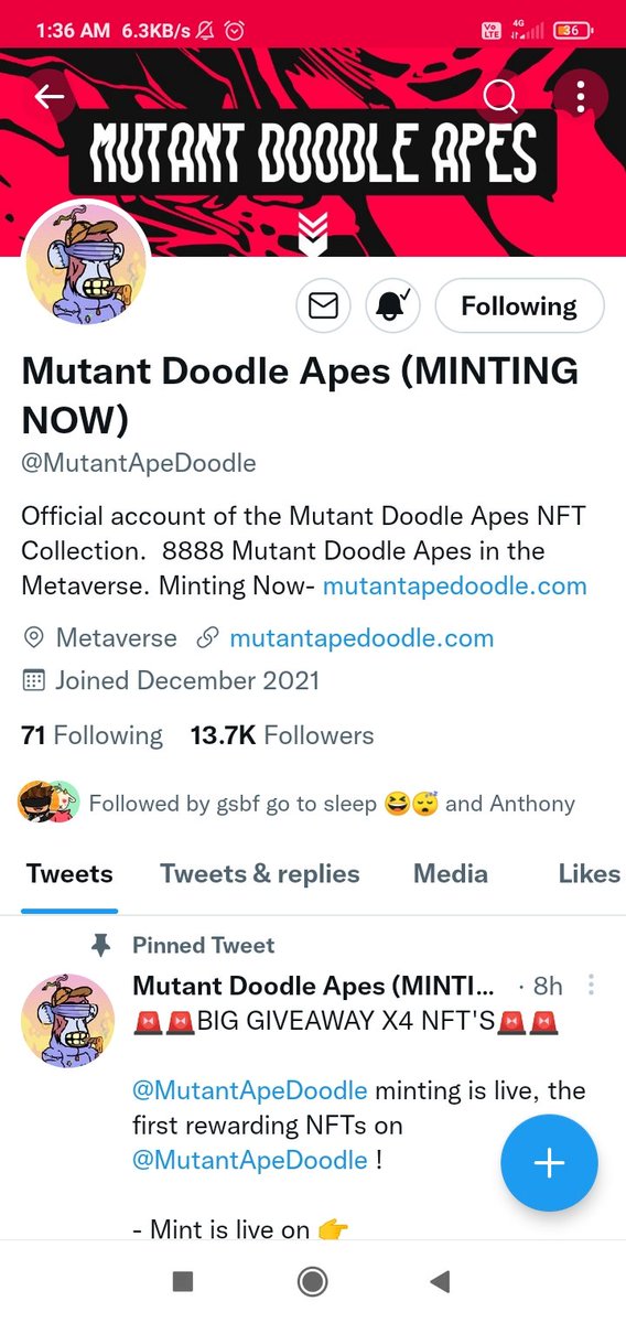Antic nApe tweet media