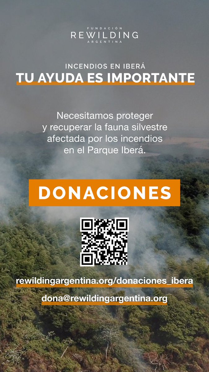 MARÍA DELIRIO TV (@mariadeliriotv) on Twitter photo 