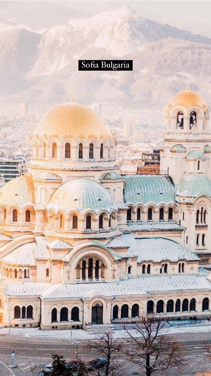 roimandalis (@roimandalis) on Twitter photo 