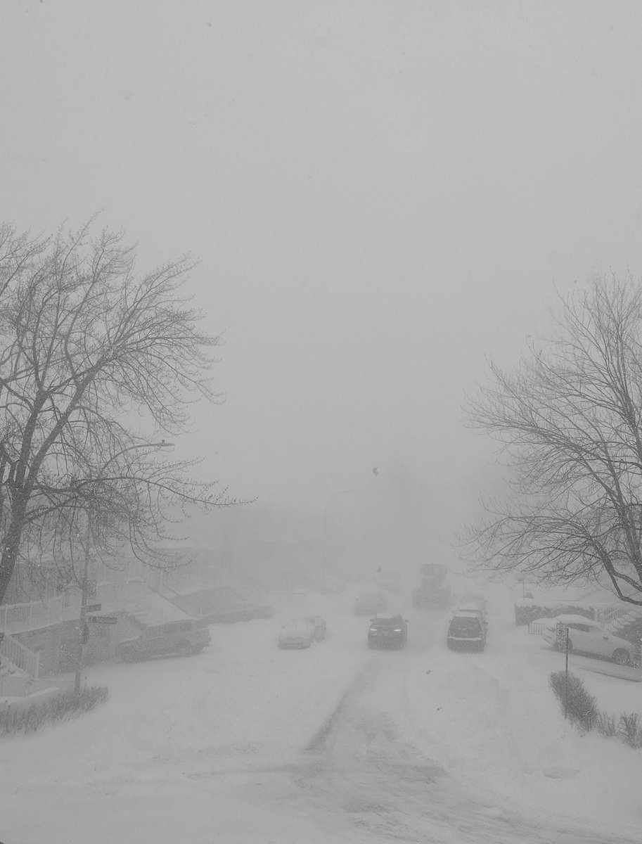 ThatMTLGirl's tweet photo. Holy Snow Squalls !!!
#snowmageddon2022
#mtlsnowstorm
#quebecstorm
#WinterStorm
#montrealwinter https://t.co/5WFBc7Aedi