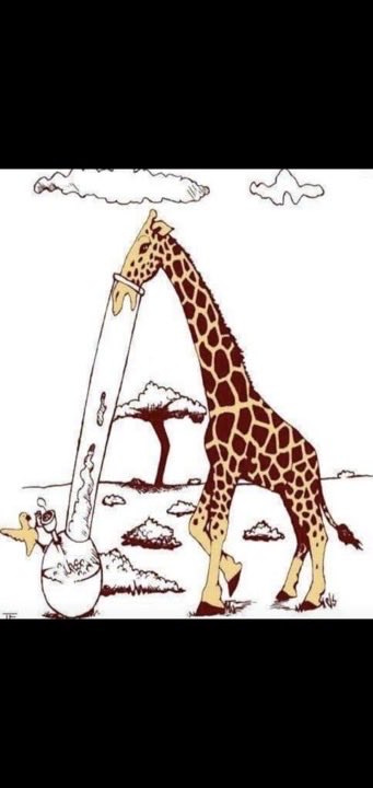 grahamfarrar's tweet photo. #IYKY #GiraffePower #EveryoneNeedsABird https://t.co/5oVNUWBbgh