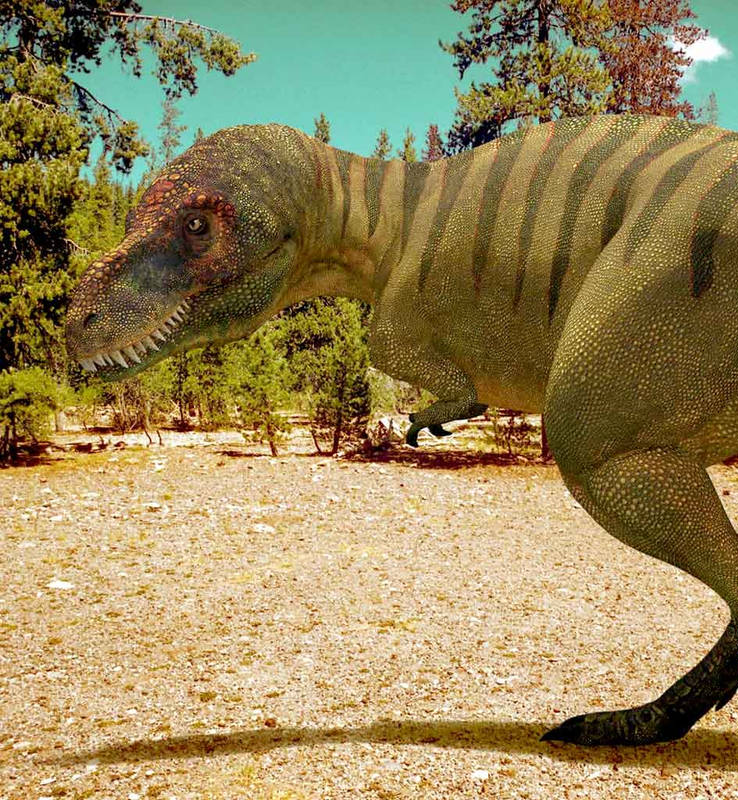 Динозавры убийцы. Планета динозавров Тарбозавр. Планета динозавров Тираннозавр. Тарбозавр и Трицератопс. Тарбозавр bbc.