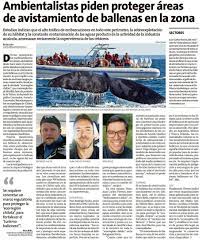 DefendamsChiloe's tweet photo. El Asesor Ejecutivo de @missionblue, @max_bello_m , dijo que “las ballenas son un ejemplo de que podemos cambiar. Hubo un momento en que fue una industria gigantesca alrededor del planeta, que llevó a las ballenas prácticamente a su desaparición". @RHuckeG @jcviveroskobus https://t.co/OSz7uSmy1u