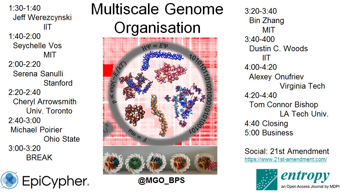 Multiscale Genome Organisation (@mgo_bps) on Twitter photo Happening Today! The symposium of the Multiscale Genome Organisation subgroup of <a href="/BiophysicalSoc/">Biophysical Society</a>. This is part of the Biophysical Society Annual Meeting 2022 in San Francisco. All times are in PST.
CC <a href="/tamar_schlick/">Tamar schlick</a> <a href="/BishopTomC/">Tom Bishop</a> <a href="/JW_Lab/">Wereszczynski Lab</a> <a href="/AnnaPanchenko13/">Panchenko lab</a> @NCIYaminiDalal <a href="/TeifLab/">Teif Lab</a> Happening Today! The symposium of the Multiscale Genome Organisation subgroup of <a href="/BiophysicalSoc/">Biophysical Society</a>. This is part of the Biophysical Society Annual Meeting 2022 in San Francisco. All times are in PST.
CC <a href="/tamar_schlick/">Tamar schlick</a> <a href="/BishopTomC/">Tom Bishop</a> <a href="/JW_Lab/">Wereszczynski Lab</a> <a href="/AnnaPanchenko13/">Panchenko lab</a> @NCIYaminiDalal <a href="/TeifLab/">Teif Lab</a>