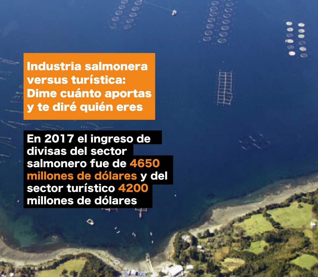 DefendamsChiloe's tweet photo. en el saliente Gobierno no ocurrió. Es de suma importancia que entendamos que protección/restauración de ecosistemas como los de la ballenas son una solución a la emergencia climática,pero además,una enorme fuente de empleo y crecimiento, pero de manera sostenible”. @max_bello_m https://t.co/CCt01AOkqe