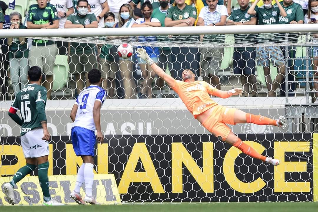 Weverton 2023 - Defesas & Reflexos Absurdos - Palmeiras