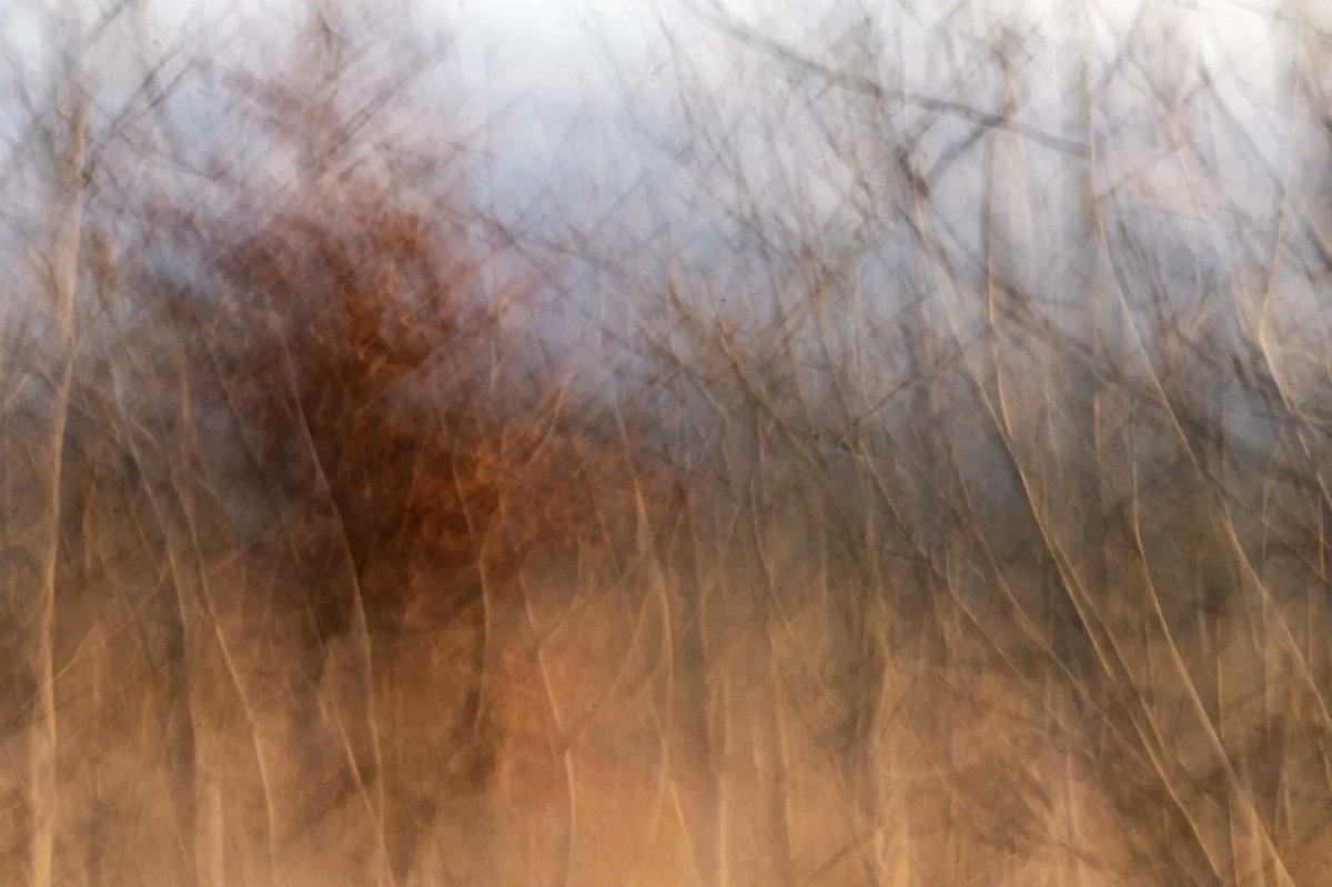 Is this a start of something different 🤷‍♂️. This might just be my first picture on Twitter.

#yorkshire #landscapephotography #icmphotography #abstractart #fineartphotography