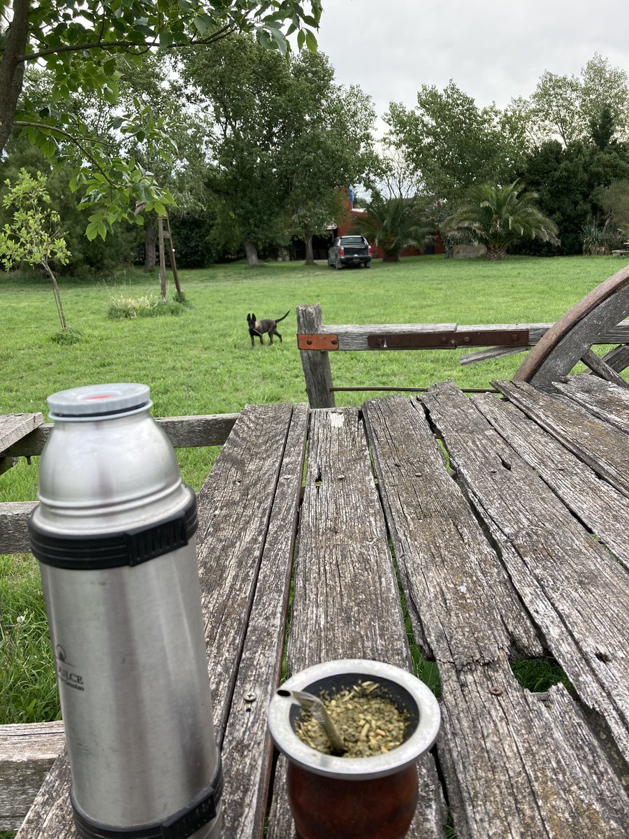 Descansando en la Quinta con Pampi. Buena jornada Tropa. Abrazo