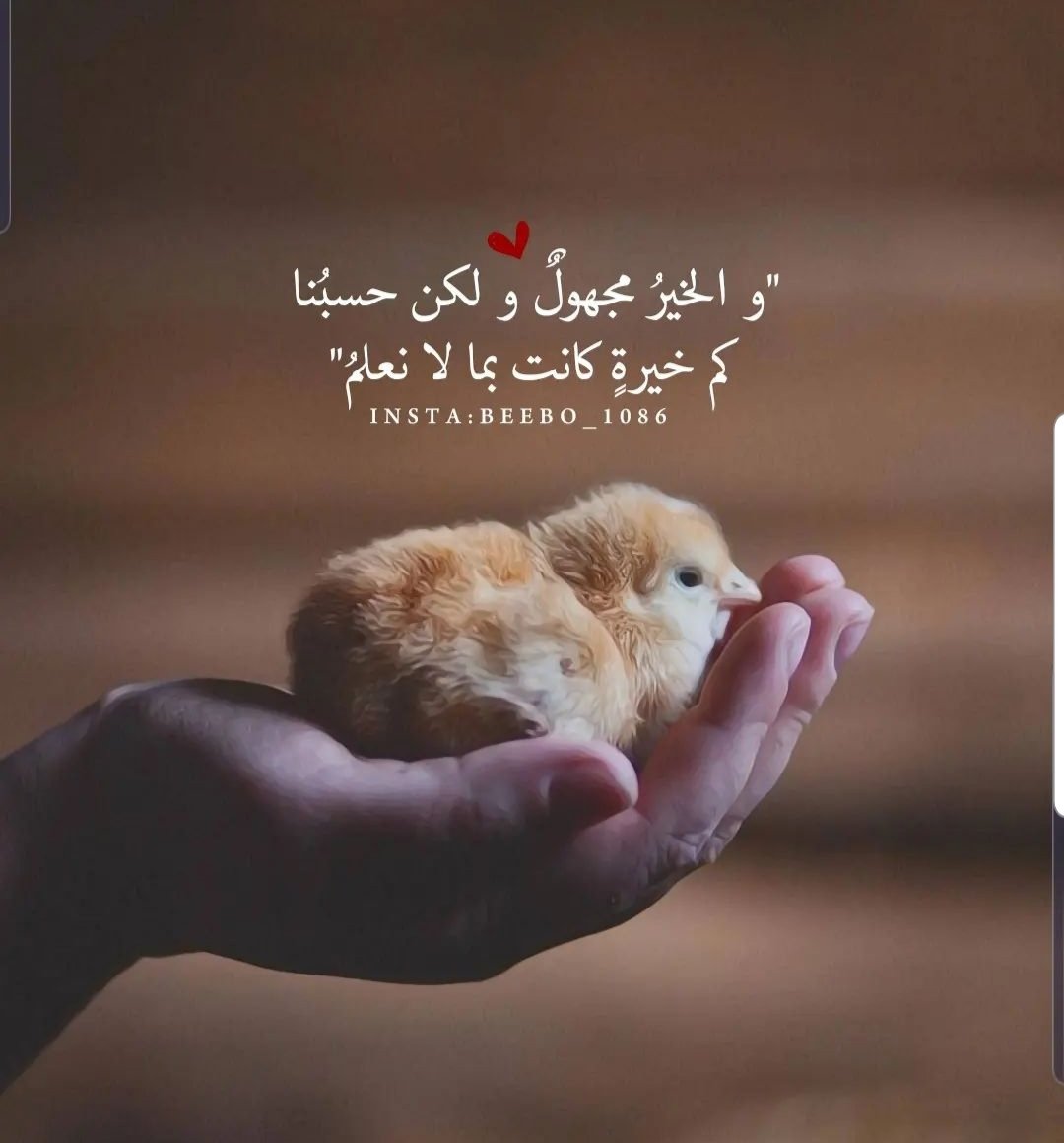 الحمد لله♧ (@shshk8) on Twitter photo 