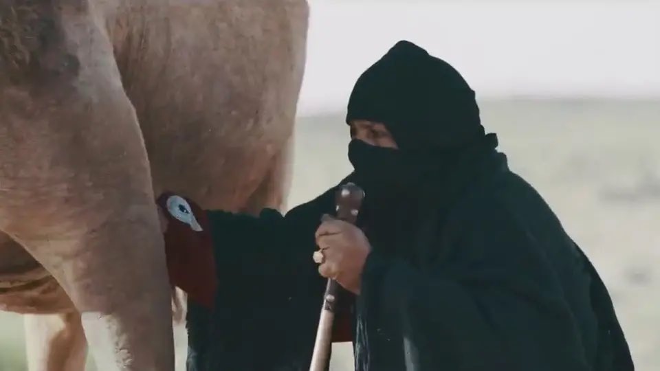 وفاة صاحبة الإبل الشهيرة #شومة_العنزي بعد معاناة مع المرض.

-