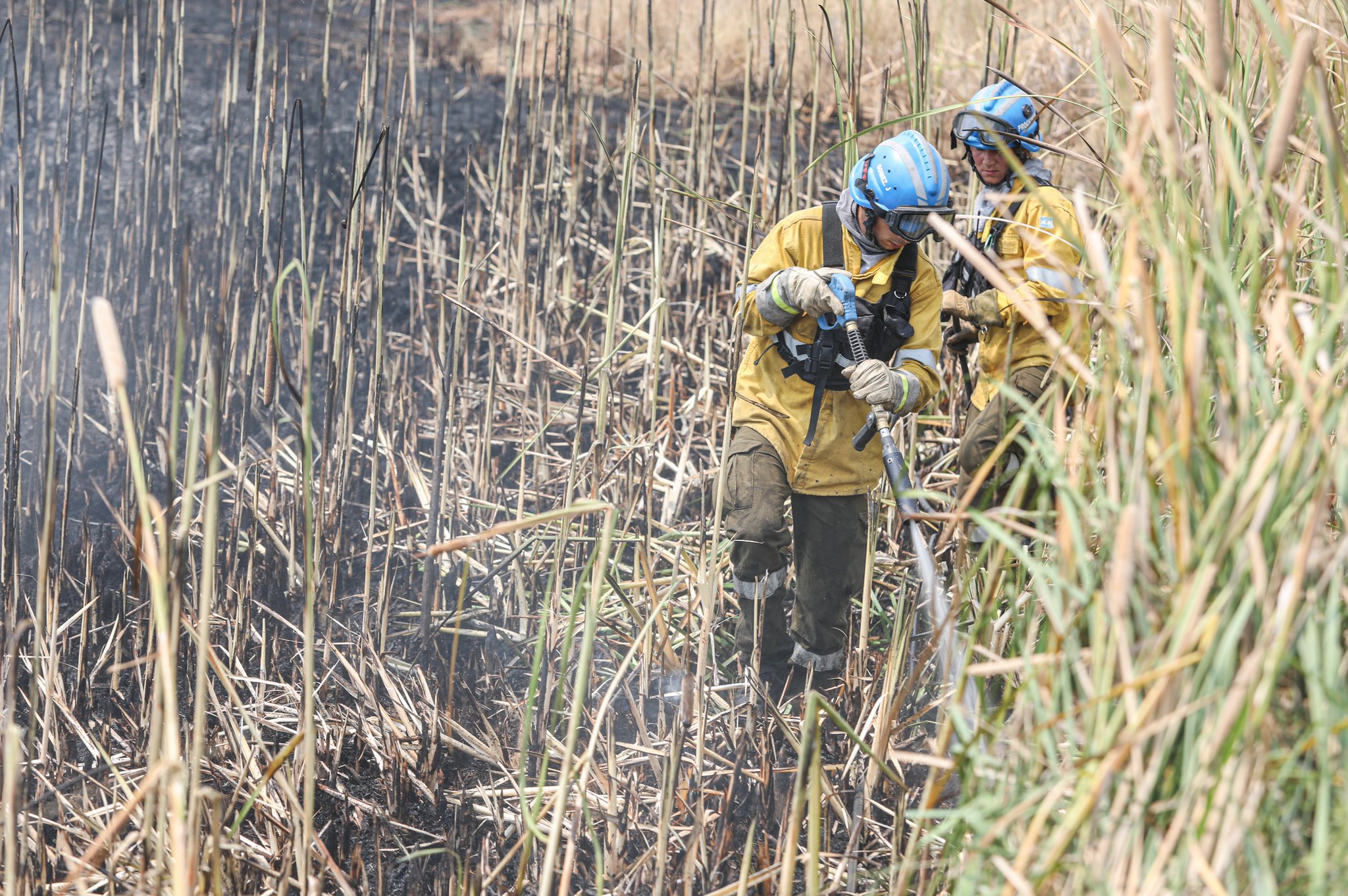 Incendios en Corrientes: se quemaron más de un millón de hectáreas