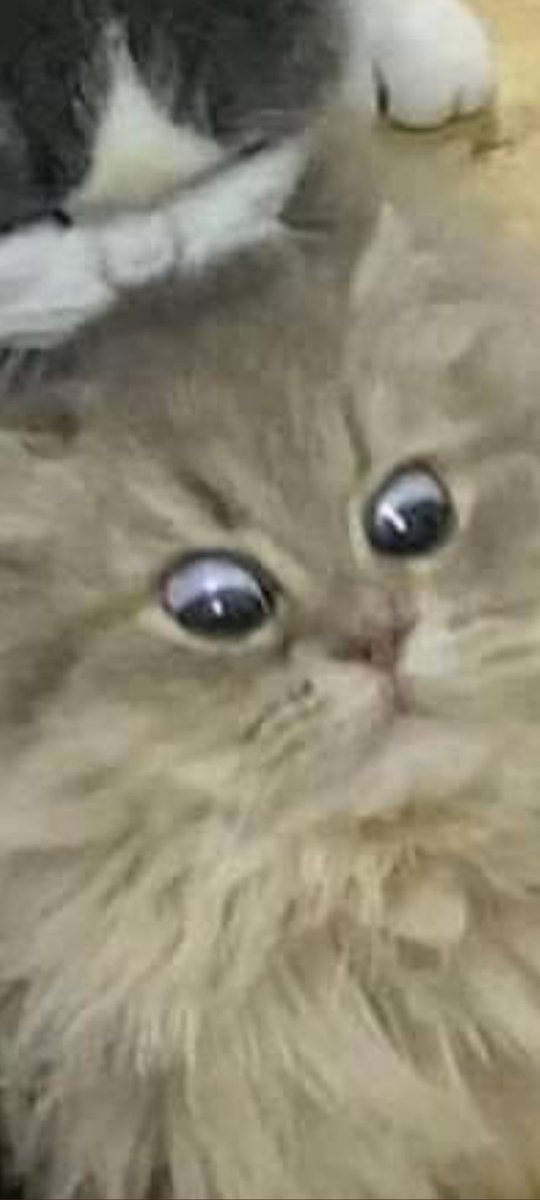 Arwassaband's tweet photo. Same vibes https://t.co/eD4nLrG9kW