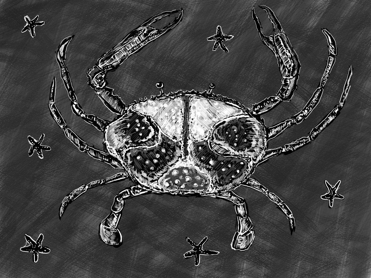 FrizzyHead_'s tweet photo. The Mollusk pt.1 https://t.co/fOwHs20ju5