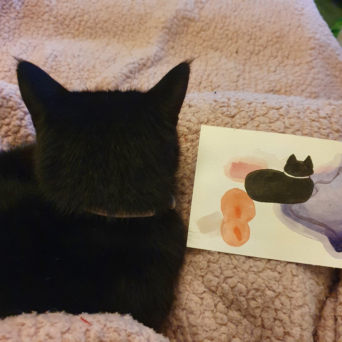 m1nature's tweet photo. Cat child

#catart #Caturday #blackcat https://t.co/WiwUG2MsIl