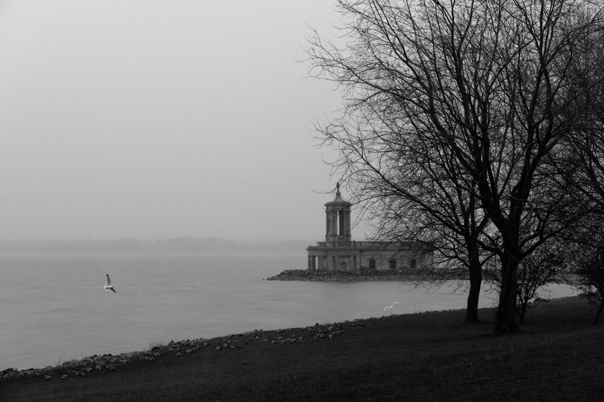 CWFineArt's tweet photo. Despite the rain I went for a walk at #RutlandWater today. I don't mind shooting in a variety of conditions, from strong midday sun to bleak conditions like these.
#colourblindphotography #bnwphotography #normantonchurch #bleak https://t.co/FGe903Pcq6