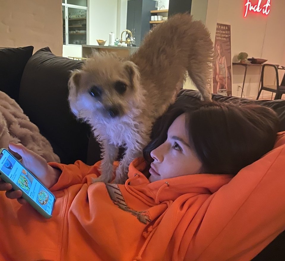 protectabrams's tweet photo. the dog mom stories https://t.co/lZwVxaGF7o