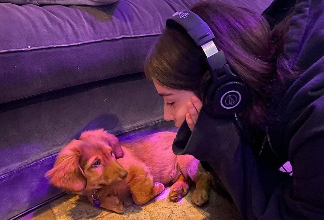 protectabrams's tweet photo. the dog mom stories https://t.co/lZwVxaGF7o