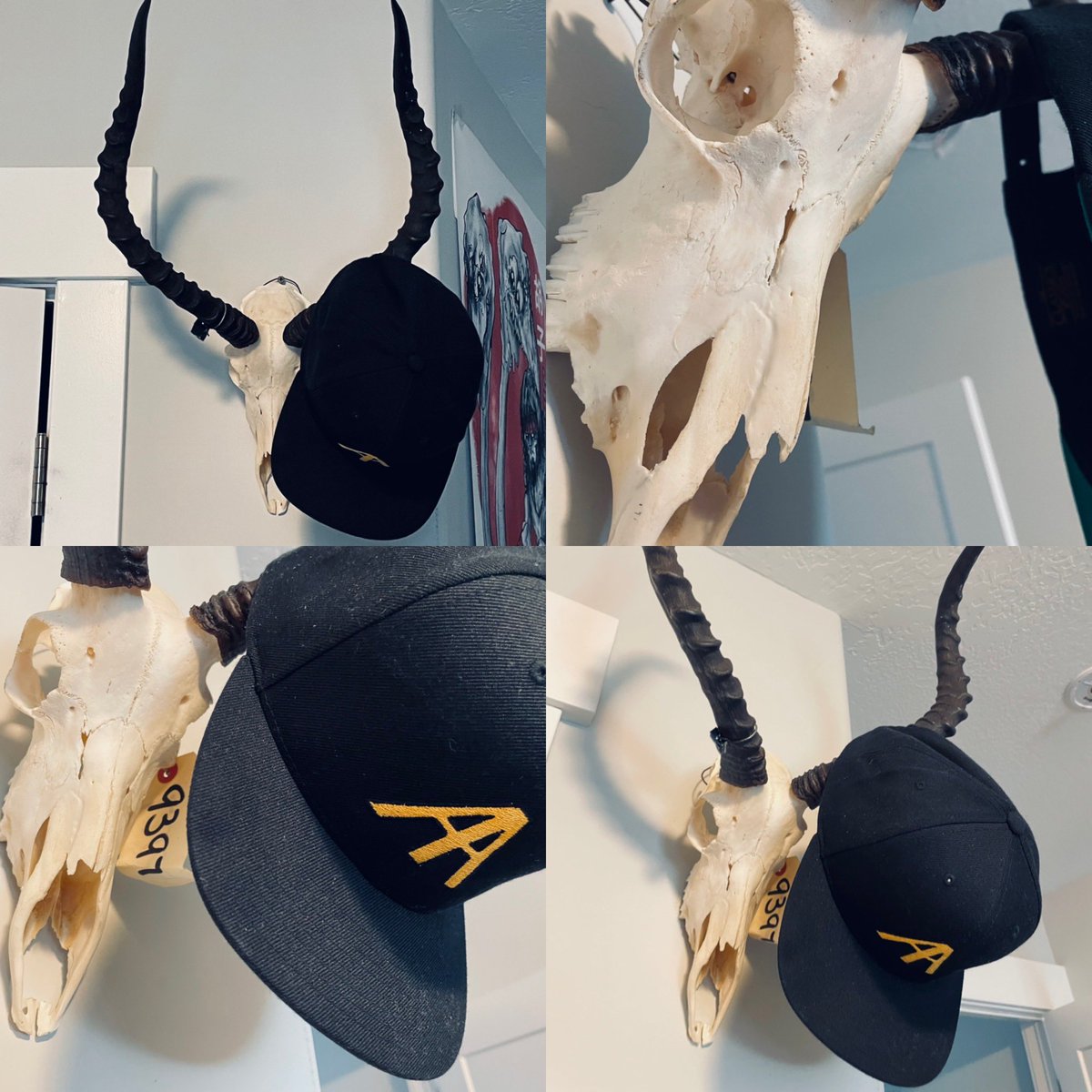 TheHaddy's tweet photo. I found the best hat hanger for my #Aapes #snapback -fitting?

When it’s not on my head it will be on this Impala Skull I picked up at some convention. Maybe I should name it? Suggestions?

@apocalypticapes #ApocalypticApes #hathanger #impala #fleamarket #snapbackcrew https://t.co/FY8AEuqyFJ