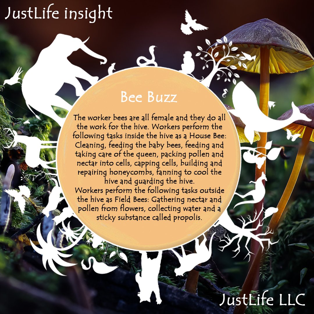 Women get the work done around here  😂 who can relate . . 🤷🏾

#JustLife #WomenInScience #women #WomenPower #bees #savethebees #Honey #Workers #work #Ecosystem #ecosystems #teamwork #nature #naturelover 

🌍🌍 <a href="/nftJustLife/">JustLife</a> 🌍🌍