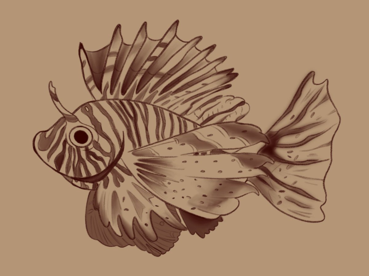 ✨🌱aquí tenéis el enlace directo al proyecto 🌸 Este lunes estará abierto para todo el que quiera participar 🌱 

kickstarter.com/projects/acros…