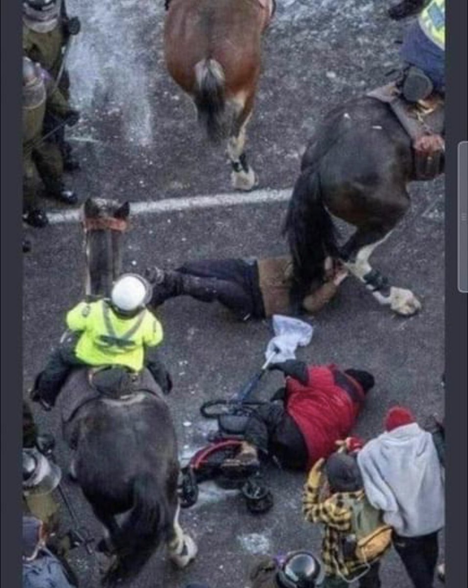 * W. Brett Wilson * (@wbrettwilson) on Twitter photo Fortunately the <a href="/OttawaPolice/">Ottawa Police</a> know how to deal with folks with accessibility issues.
Yup. Put them to the ground ASAP.
It’s thought and caring eh? Fortunately the <a href="/OttawaPolice/">Ottawa Police</a> know how to deal with folks with accessibility issues.
Yup. Put them to the ground ASAP.
It’s thought and caring eh?