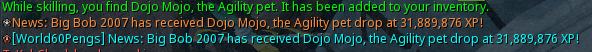 BigBob2007's tweet photo. I got Dojo Mojo pet.. Been chasing them a long time. https://t.co/EWYOFnjavZ