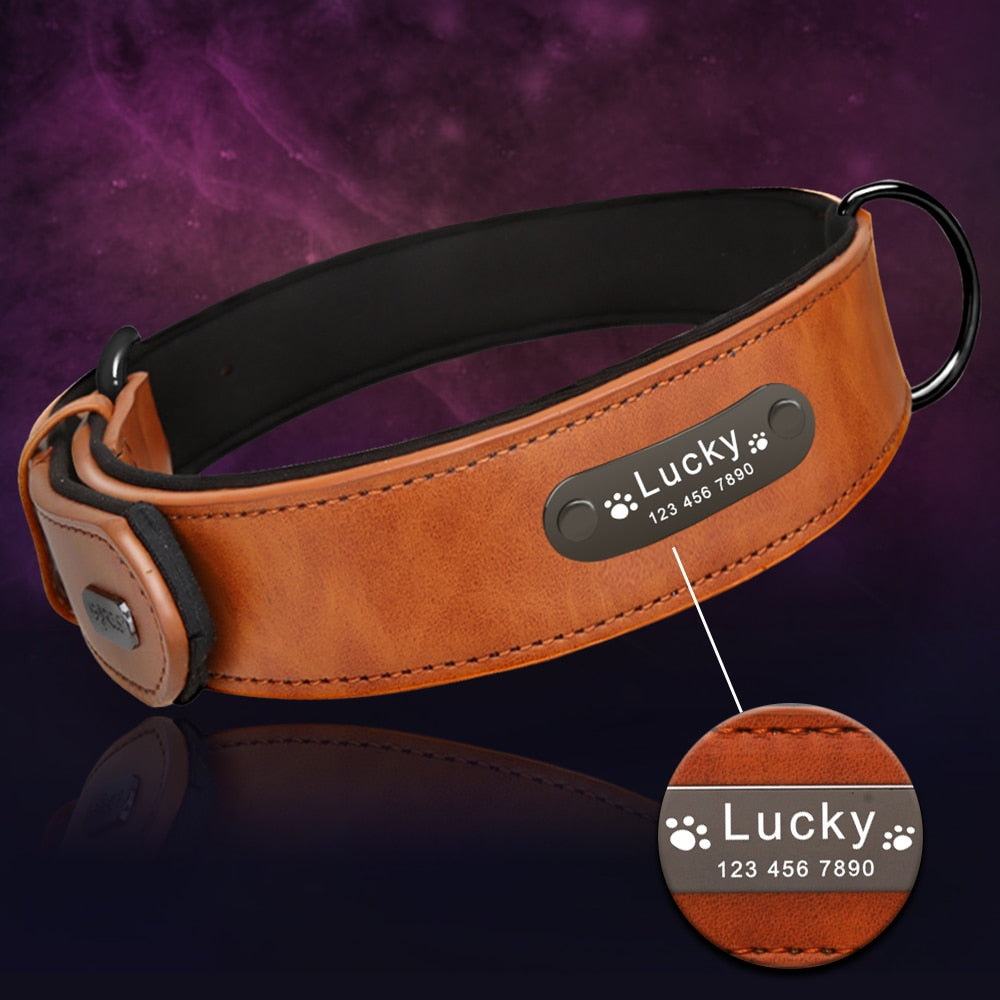 Firestray1's tweet photo. Visit https://t.co/hKedI3MJw8 for more products like this 😍 ✨ 💕!!!

Give your best friend the reason to love you!!!

#Collar #leash #DogLover #dogs #firestray #happydog #animallover https://t.co/yEBcumV8do