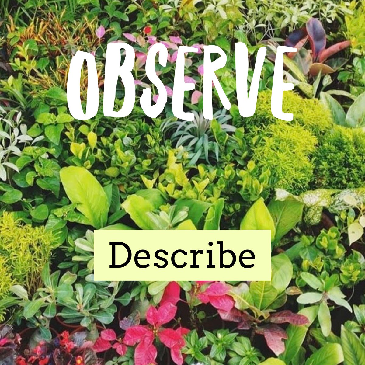 CharlenedePich2's tweet photo. Remember to practice mindfulness today.  Observe and describe without judging.  I personally struggle to observe without describing/using language.  Does anyone have any tips? #dbtskills #dbt #borderlinepersonalitydisorder #mindfulness #mentalhealth https://t.co/fqemJTJCdg