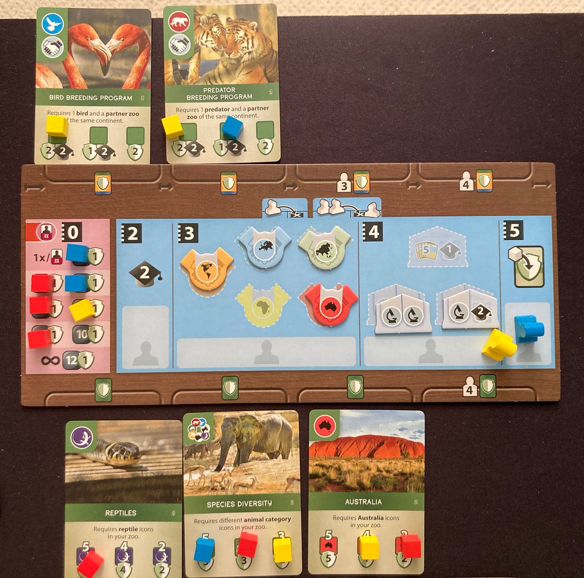 QUARANTINE CHRONICLES: GAMING EDITION First play of Ark Nova, a heavy-ish euro-style zoo builder. It’s a Frankenstein’s monster composed of mechanics we love in other games. But it didn’t gel for us. Need a few more plays before final judgement.