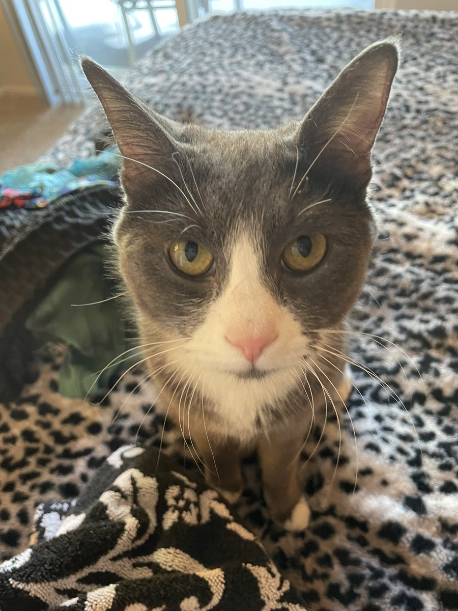 “No mom I totally didn’t singe my eyebrows on the candle while you were in the shower”