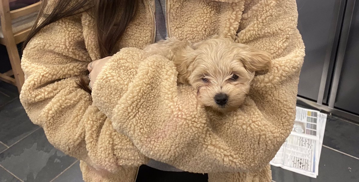 Emma-Jayne Lewis tweet media