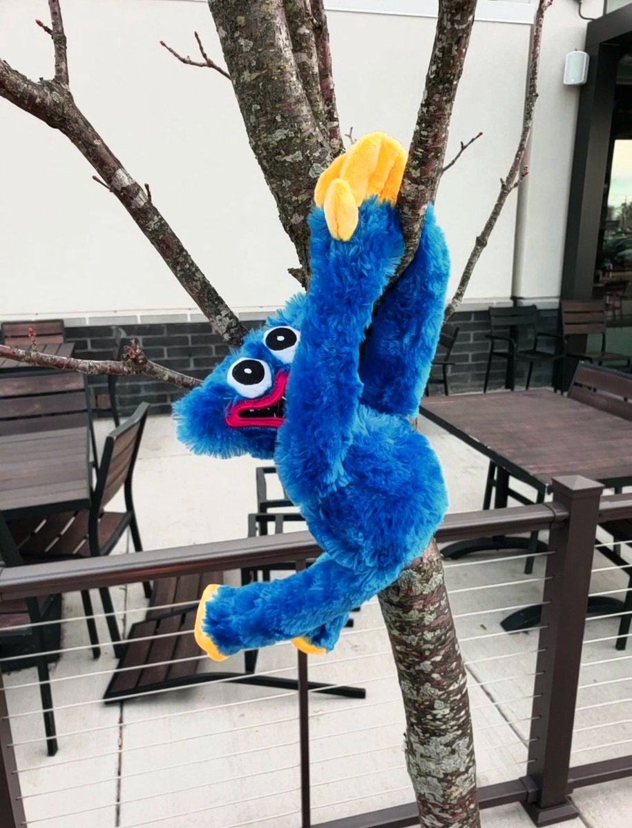 R00Doodle's tweet photo. https://t.co/WSjpwBM66E