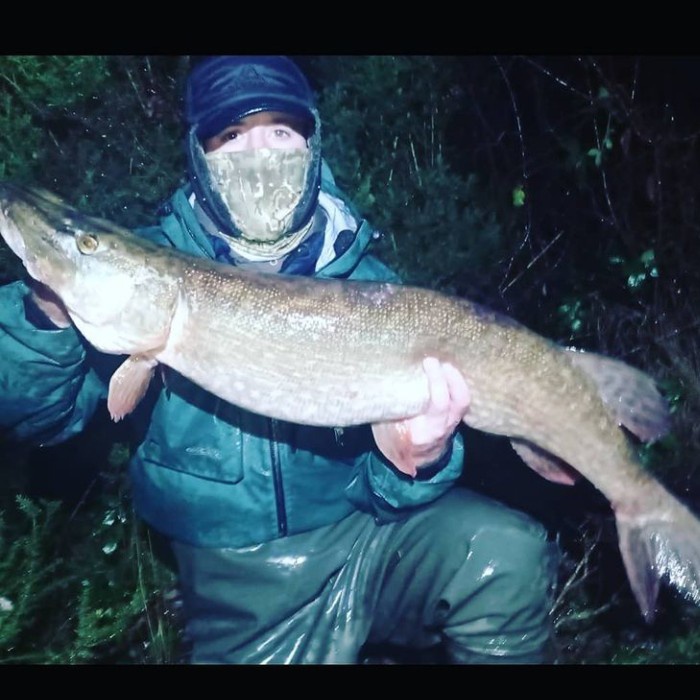 Pb 🔥🎣  #pike #crocodile #pikefishing #FISH #nature #RainyDay #Dark #fishing #lurefishing #perch #roach #catchandrelease #angling #flyfishing #SaturdayMotivation