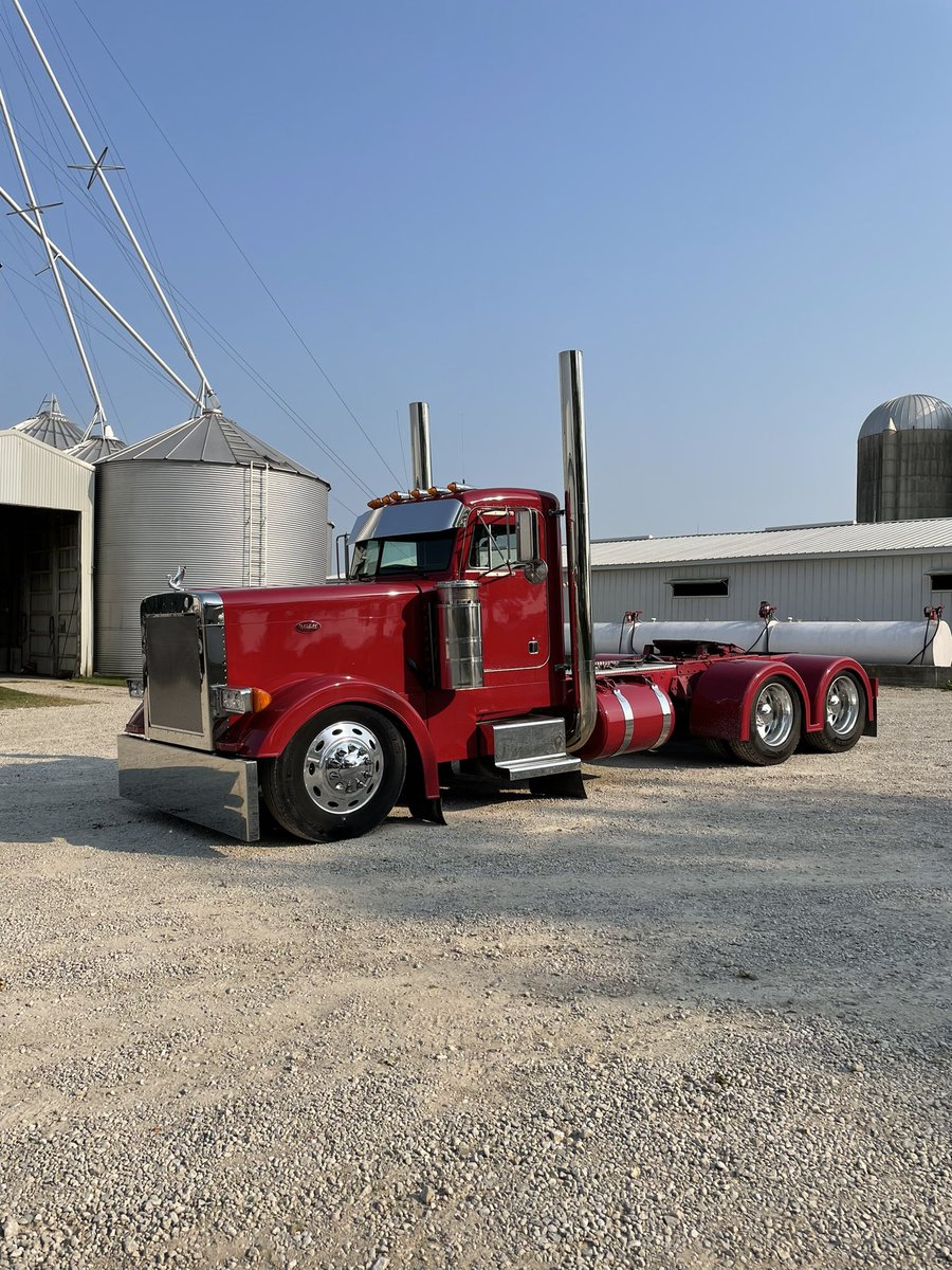 3 years ago today I came home with my Pete. It’s come a long way since then