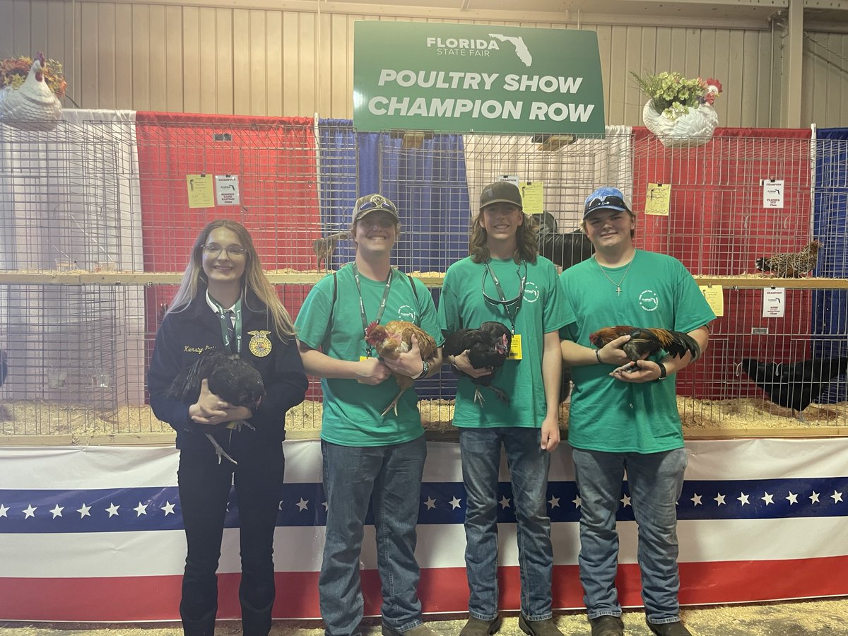 Freedom_FFA's tweet photo. I am so proud of our FFA Members accomplishment this week at the Florida State Fair. We had multiple winners to include Hudson Brown's Reserve Champion AOCCL with his Bantam Wheaten Ameraucana "Jack". https://t.co/m2ojEsgMHz