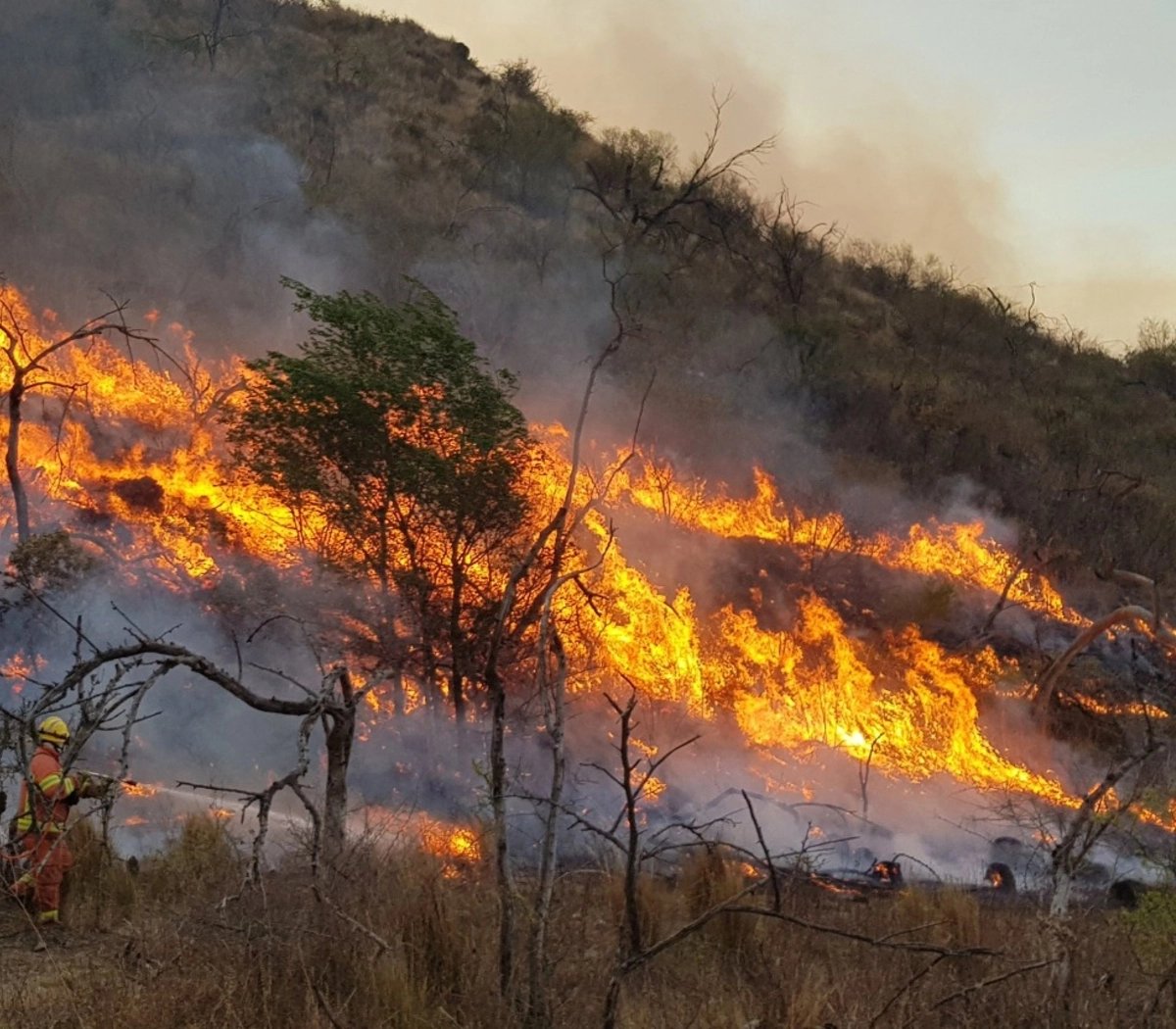 Los incendios nunca pudieron haber tomado por sorpresa a Cabandié. En 2020 se quemaron un total de 1,15 millones de hectáreas. En el Delta del Paraná, se perdieron 486.934. Otras 102.770 fueron en la Patagonia. En Córdoba 40 mil y hubo incendios en otras 14 provincias