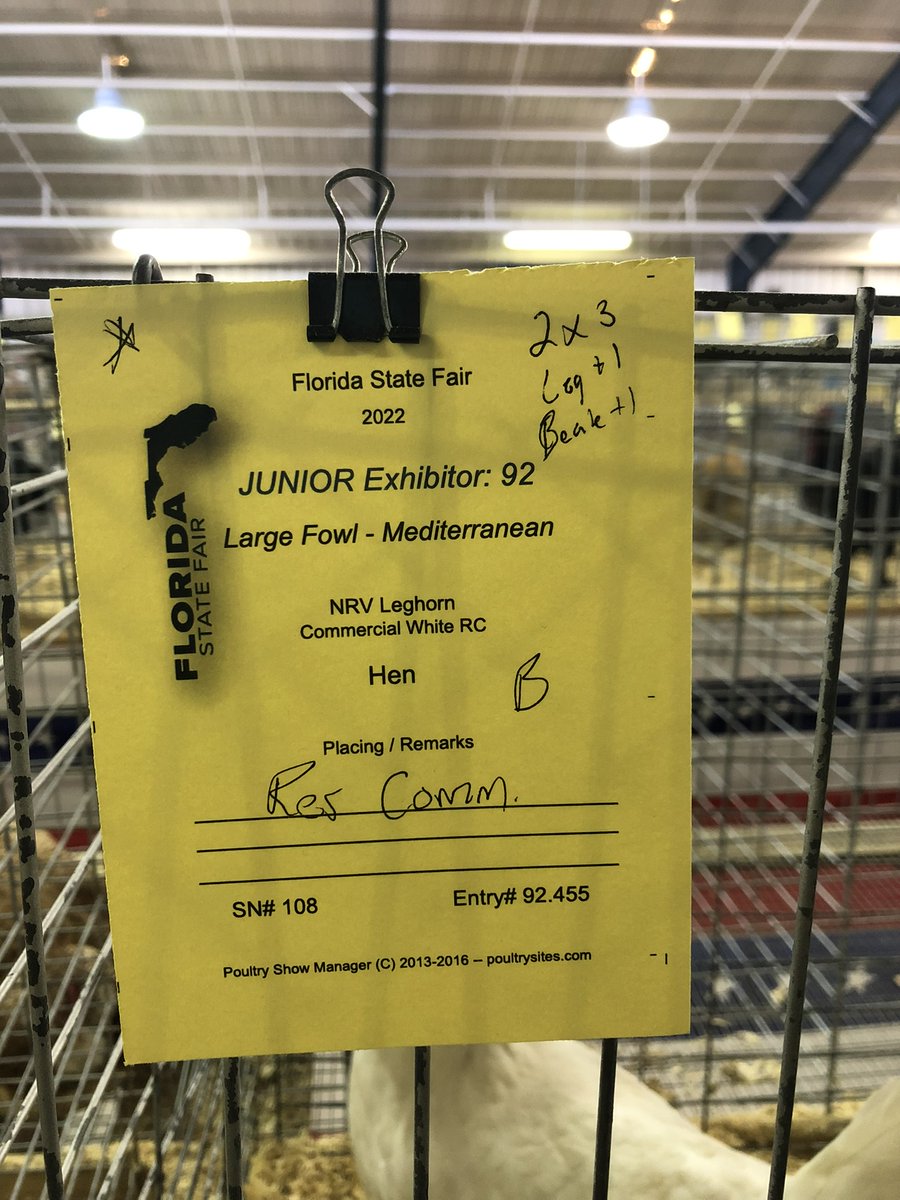 Freedom_FFA's tweet photo. They kiddos took home big wins in the Commercial Class too! Hudson won Reserve Show Champion for his production Leghorn. https://t.co/0OL2yBLaei