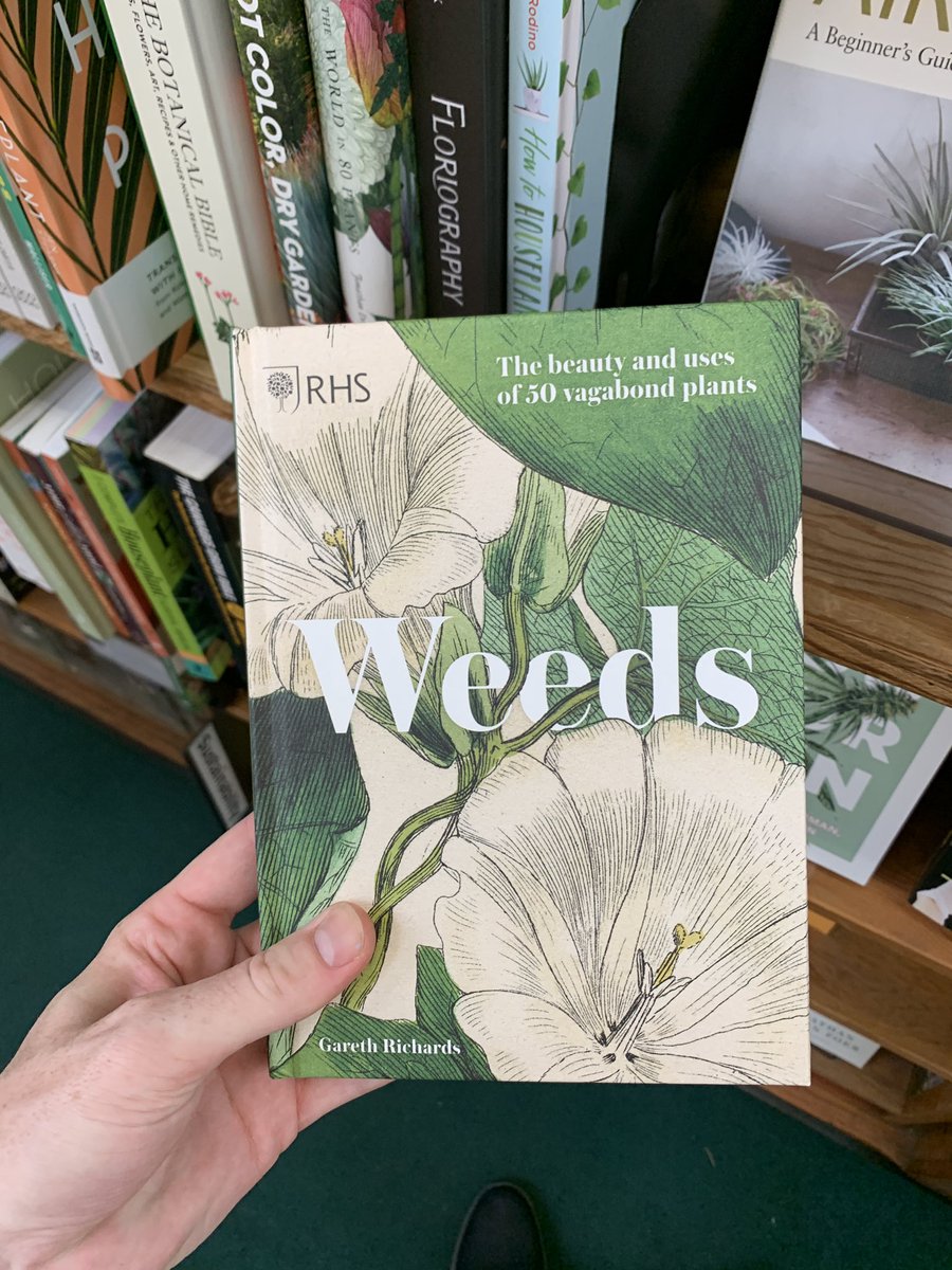 Jack Hagen tweet media