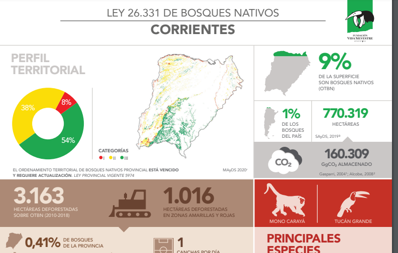 En el caso de Corrientes, según el INTA se perdieron 28 mil hectáreas de bosques nativos por los incendios. Entre 2010 y 2018 se habían perdido 3.163 hectáreas y se consideraba un desastre. Entre 2019 y 2022, el dinero que recibió la provincia para ese fin bajó del 4,7% al 3%