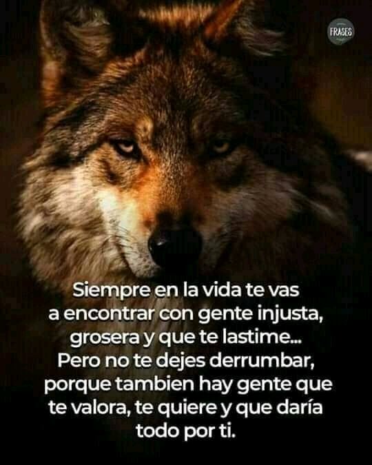 Imagen 84+ imagen frases para la gente grosera Thptletrongtan.edu.vn