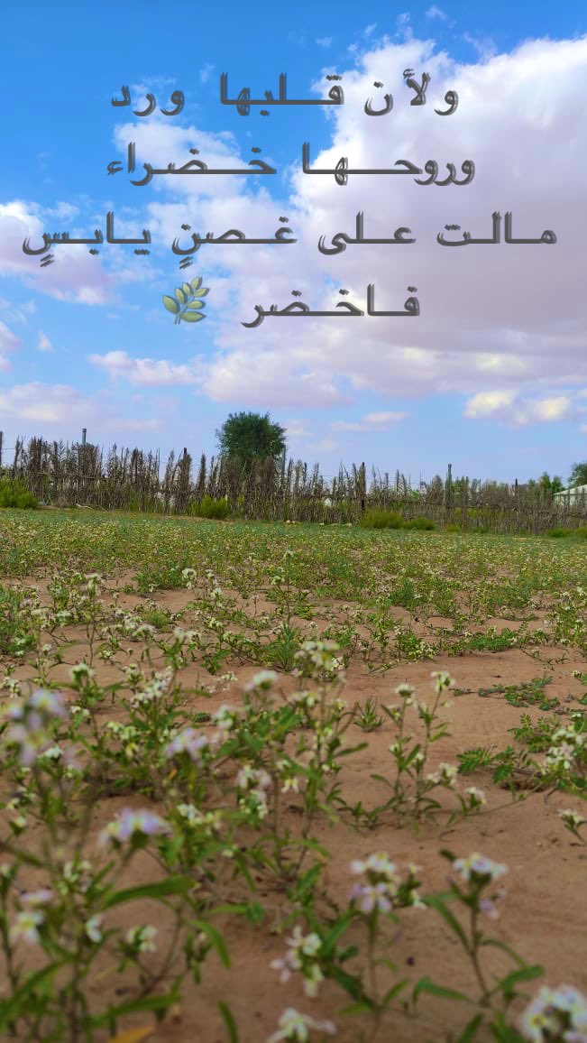 Я̩̥̊ēēM̷̜ɪ̇♡ tweet media